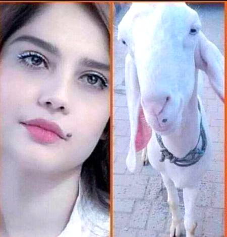 😘Kis ka ❤️till❤️ haseen he👈