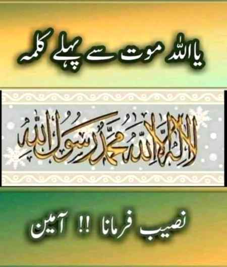 🌹AMEEN SUMA AMEEN🌹