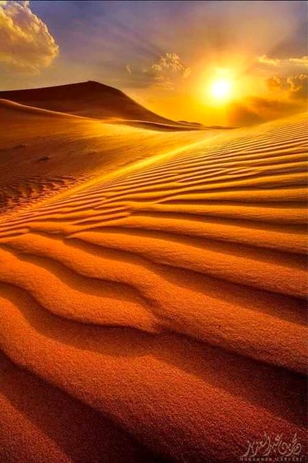 Sunrise at sand dune sahara🔥🔥