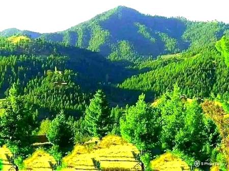 Beauty of Pakistan 😍😍