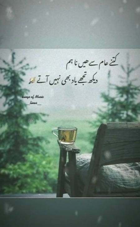 Shah Jee.....😘😍😘😍😘😍😘😍😘