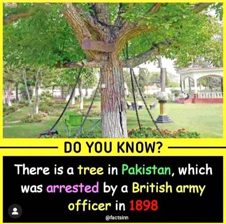 Facts about Pakistan (fact no.1)