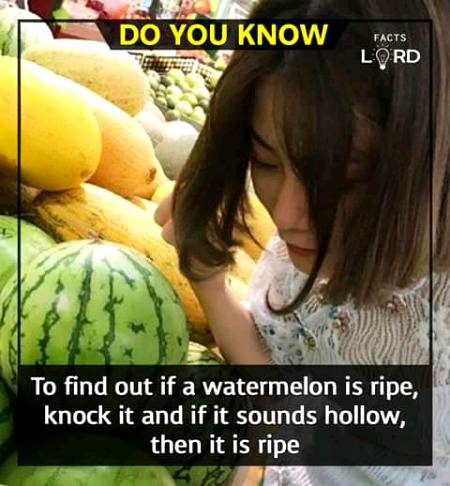 Unbelievable facts 💥💥