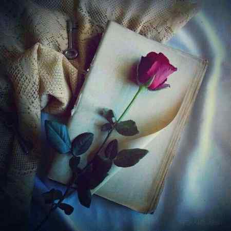 ❤وہ خود پر غرور کرتے ہیں  تو اس میں حیرت کیا؟❤

❤جس کو ہم چاہتے ہیں وہ عام ہوہی نہیں سکتا❤
💓💓💓💓💓RoSe💗💗💗💗💗