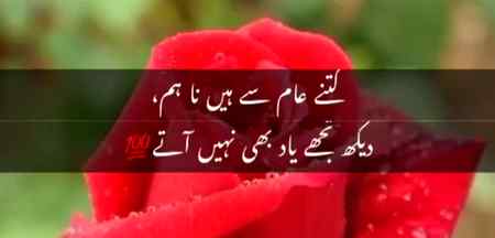 Kitny aam😎😎😱😱