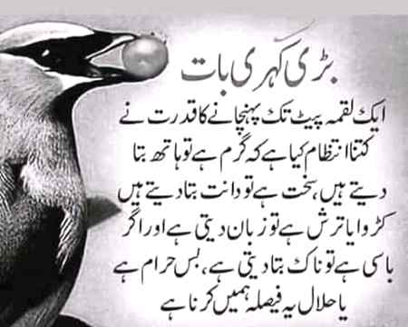💕💕💕 beshak