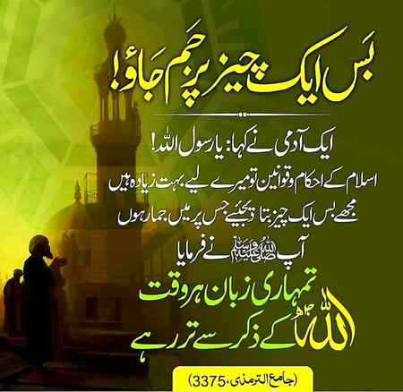 Sending by fareed ahmed shaikh