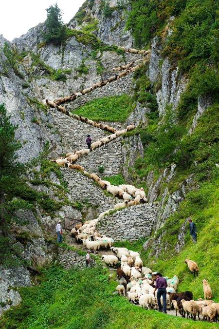 A zig-zag up trail in Switzerland