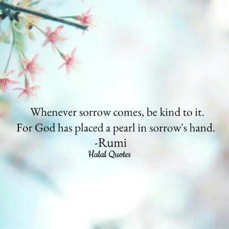 RUMI'S WORDS
