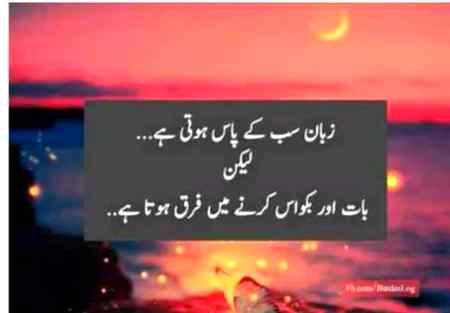 Agreed..💯💯💯