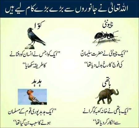Subhan AllAh