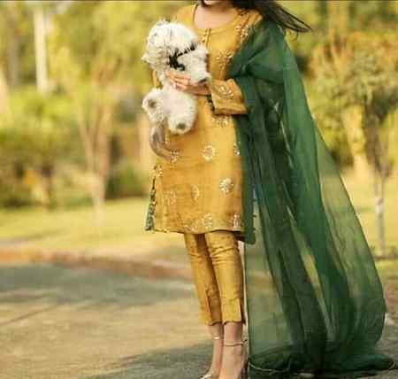 Mughal sharni follow me liked next dress