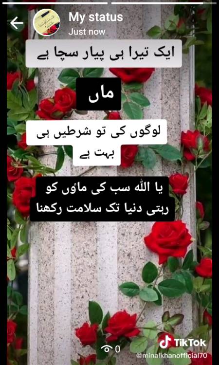 Ameen reality koi jitna marze piyaar kr la maa ke brabre kabhe nhi kr skta Love you mama❤❤❤