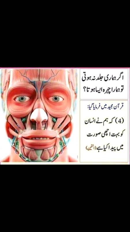 لَقَدْ خَلَقْنَا الْإِنسَانَ فِي أَحْسَنِ تَقْوِيمٍ