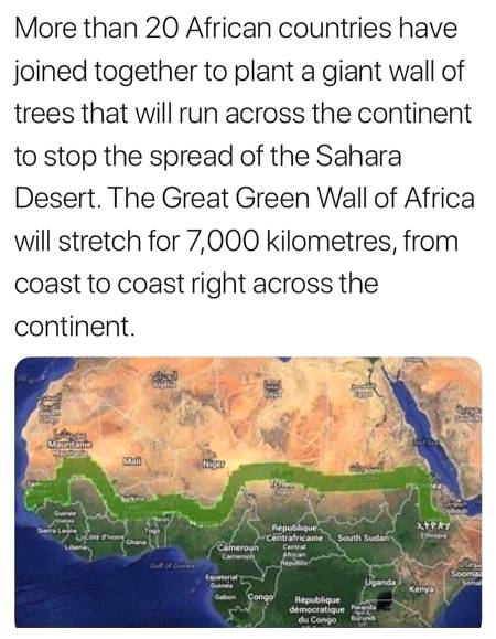 Amazing Fact