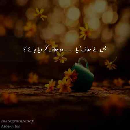 🍁Zoq_Shab🍁