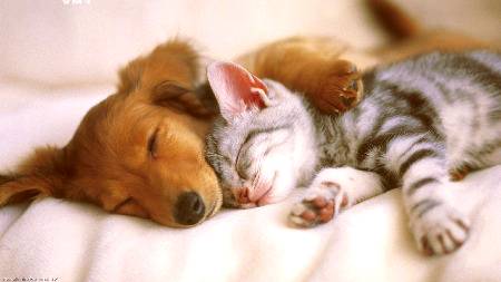 Friends...