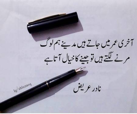 perfect lines✔