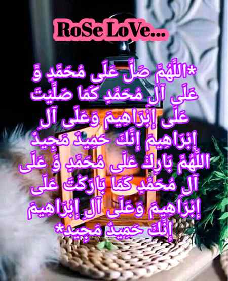 🌹👍🌹👍🌹👍🌹👍🌹👍🌹👍🌹👍