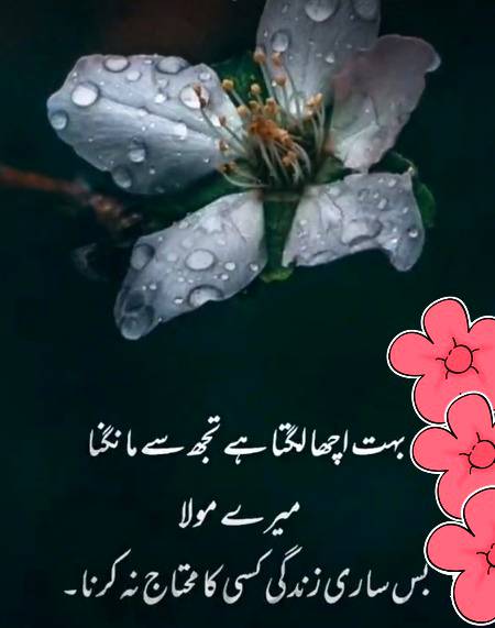 Beshak 💯💯💯😇