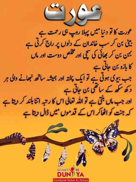 عورت کا درجہ