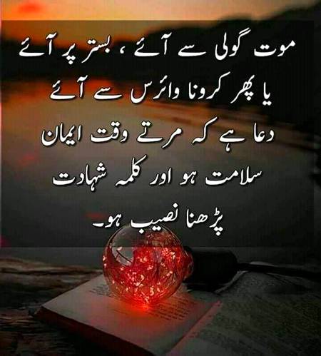 Sary bolo ameen