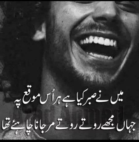 .a1💮💮🌺🌺🌸🌸🏵️🏵️🌻🌻🌼🌼