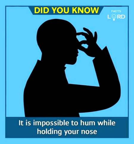Unbelievable facts 💥💥