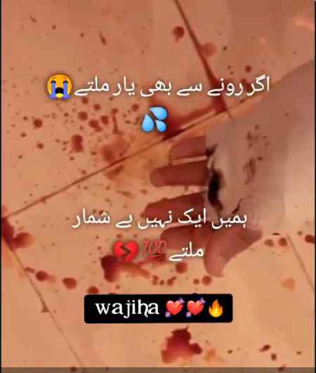 💘💘 wajeeha 💘💘