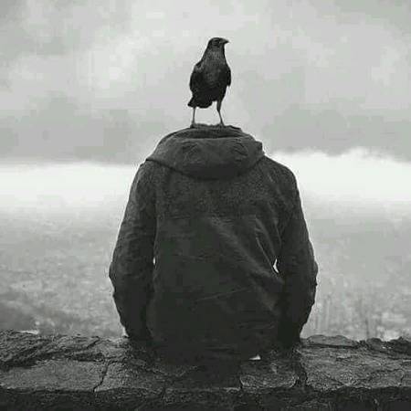 کیا کہا !!! قاصد ذرا پھر سے کہنا !!!
.a1
انکی انکھیں میرا نام اور آنسو؟؟