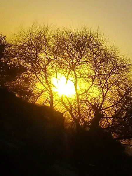 Nature beauty...😍