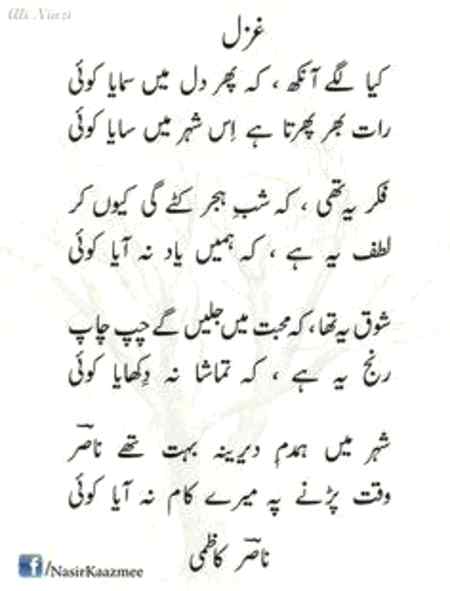 🌹🌹🌹🌹❤❤❤🌹🌹🌹🌹❤❤❤❤