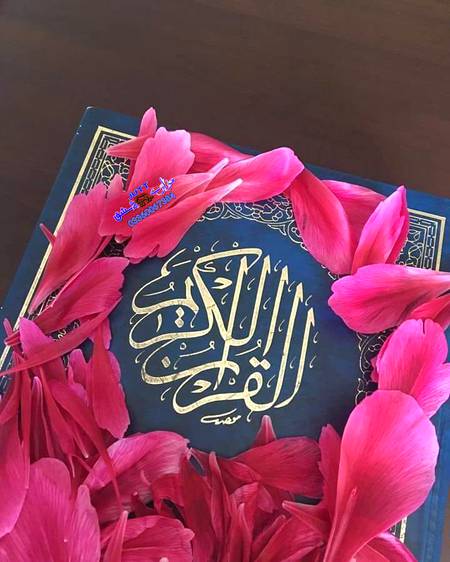 *لاَّ إِلَـهَ إِلاَّ أَنتَ سُبْحَـنَكَ إِنِّى كُنتُ مِنَ الظَّـلِمِين* ○َ
*"اللّٰہ ہم سب کى مشکلوں کو دور کرے* 
آمین"°*