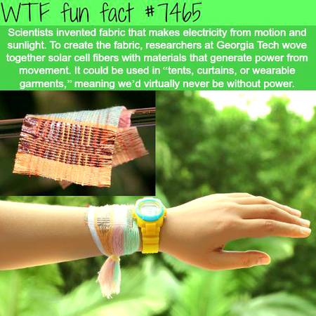 WTF fun fact