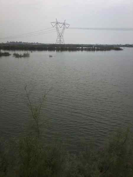 HamaRy FisH Formor ki Ek pic Ap DostoN k lyE