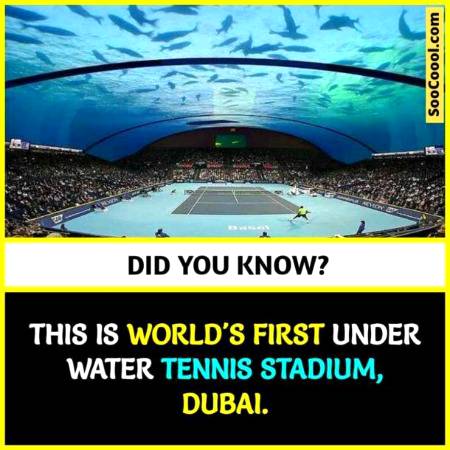 DID YOU KNOW??