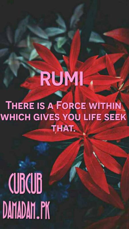 RUMI'S WORDS