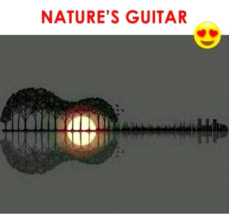 NATURE'S GUITAR