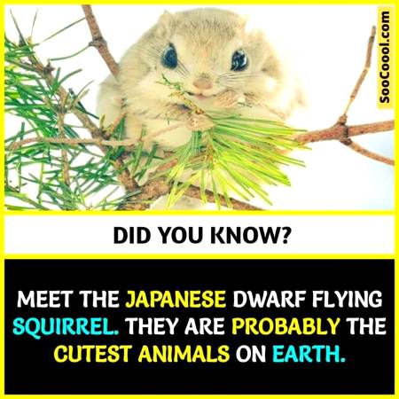 DID YOU KNOW??