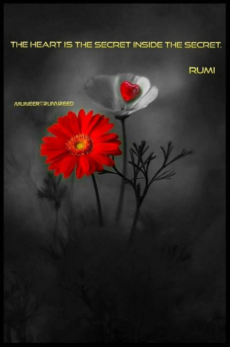 RUMI'S WORDS