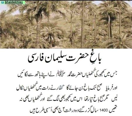 سبحان الله
،ماشاءاللہ