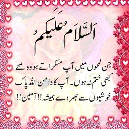 🌼🌸🌼🌸🌼🌸🌼🌸