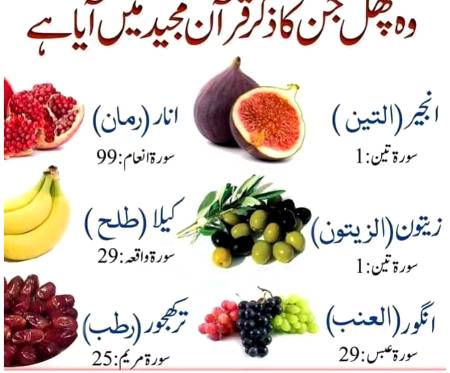 وہ پھل جن کا ذکر قرآن پاک میں آیا ہے