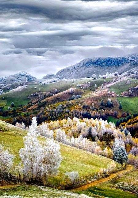 Beautiful capture