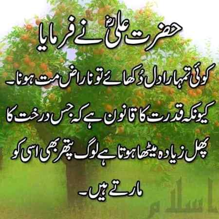 HazraT-ALi-R.A.A Ny FrMaya Hai Tu YE SaCH Hai Bas
