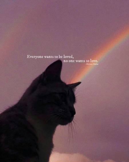 Why it's soo