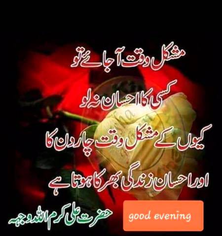 🌹🌹🌹صلی اللہ علی حبیبہ محمد نور من نوراللہ وعلی آلہ واہل بیتہ وعترتہ وازواجہ وصحبہ وجدہ وذریتہ و کل امتہ وبارک وسلم کثیراً کثیرا و دائماً ابدا 🌹🌹🌹