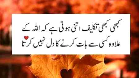 .. 👇 👇 Beshak 👇 👇..