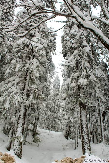 Snow⛄!! Amazing Click