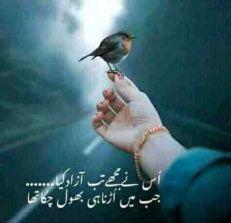 Hlo friends